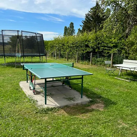 Wiedemann We 4
