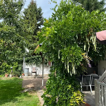 Wiedemann We 4 * Mellenthin