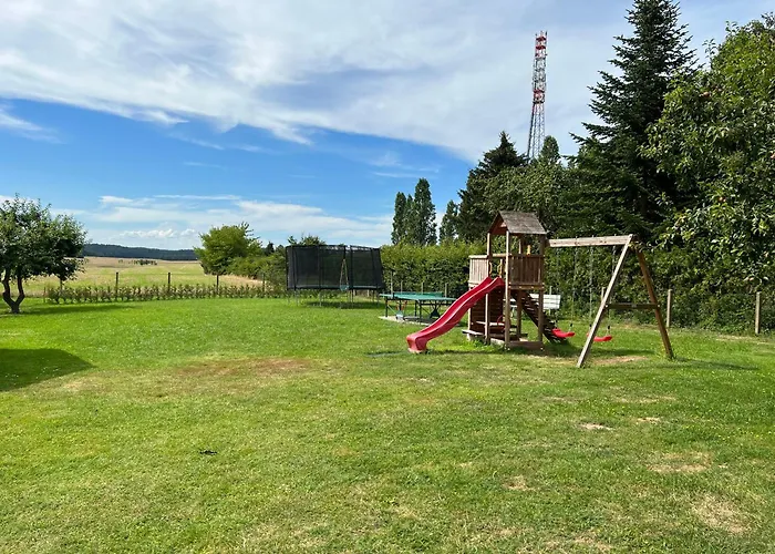 Wiedemann We 4
